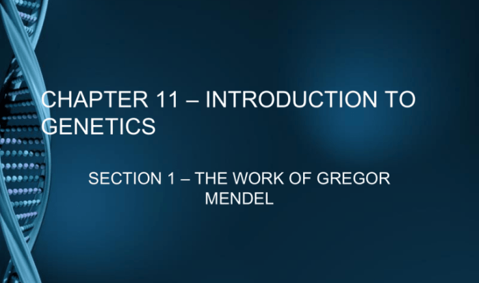 Chapter 11 introduction to genetics