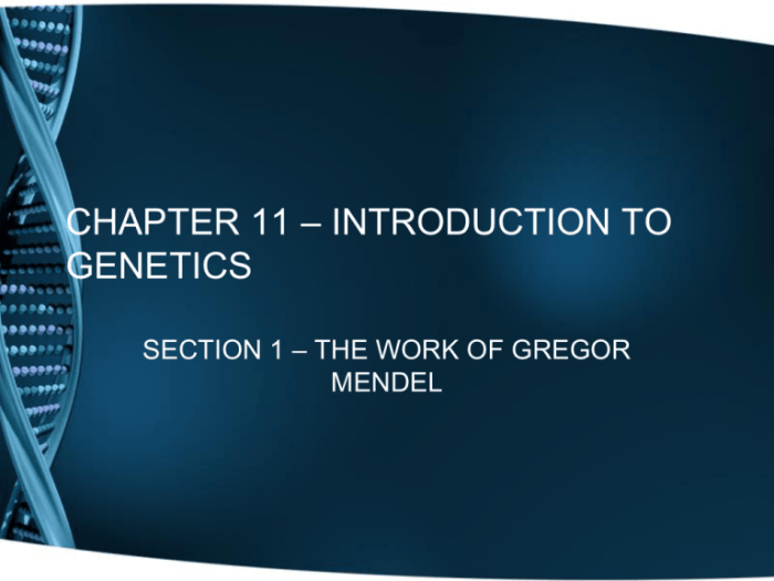 Chapter 11 introduction to genetics