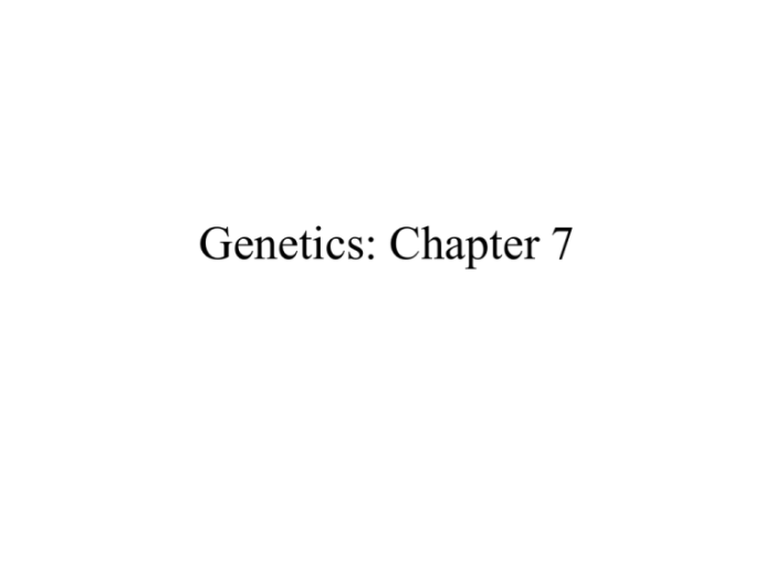 Chapter 11 introduction to genetics