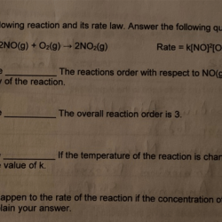 Pogil rate of reaction answers