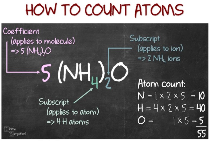 Counting atoms in simple molecules with coefficients answer key