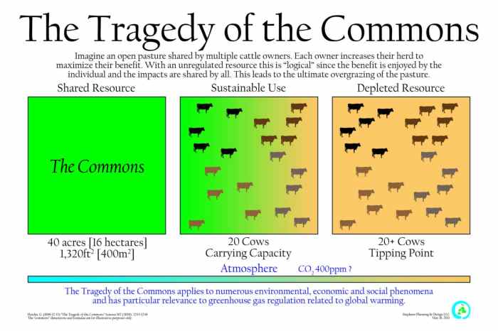 Tragedy lab commons