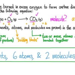 Counting atoms in simple molecules with coefficients answer key