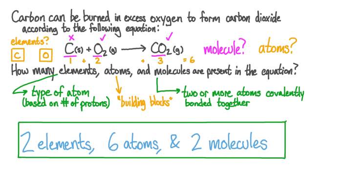 Counting atoms in simple molecules with coefficients answer key